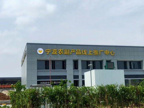 寧波農副產品物流中心一期試運營開啟 農產品流通新樞紐，便捷交通指南助您暢行